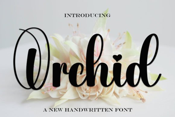Orchid Font: Elegant Script for Web Design