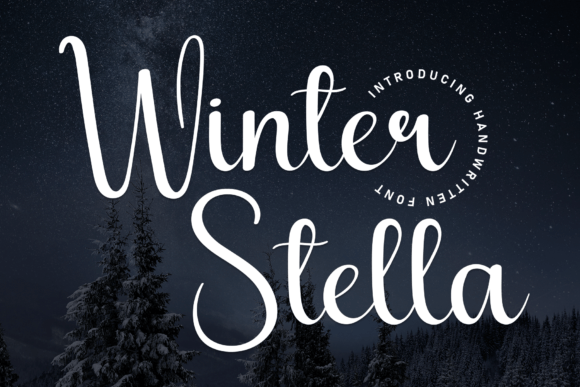 Winter Stella Font for Creative Design